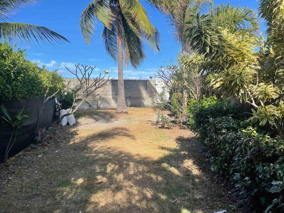 Moehani Beach Lodge プナアウィア エクステリア 写真