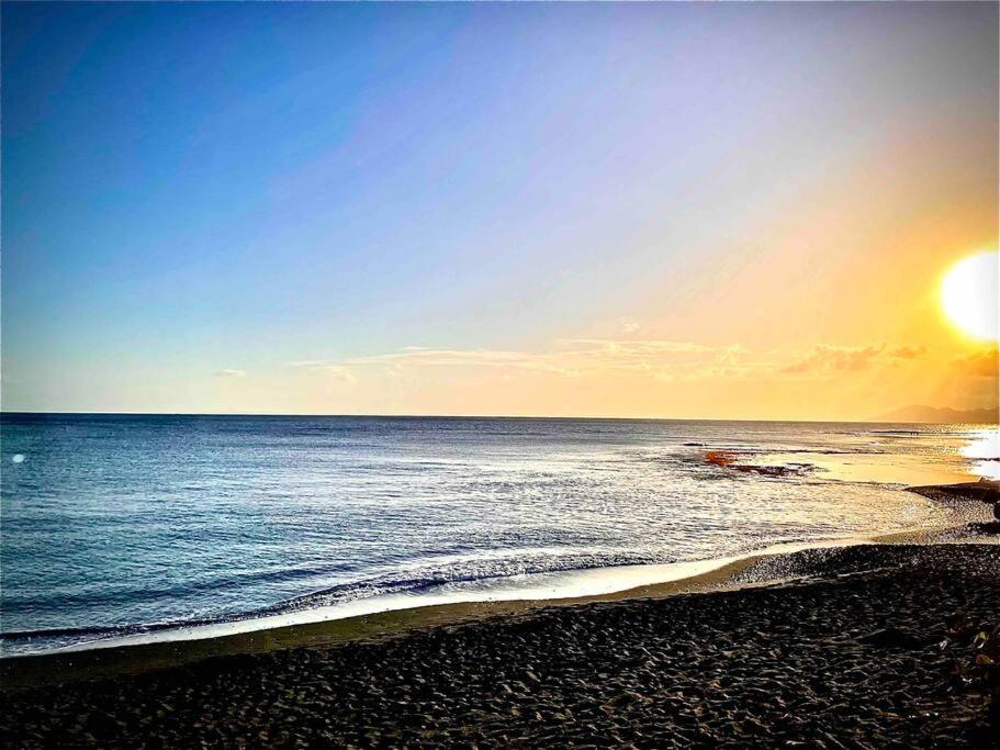 Moehani Beach Lodge プナアウィア エクステリア 写真